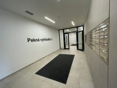 PHOTO-2026-03-10-18-04-30