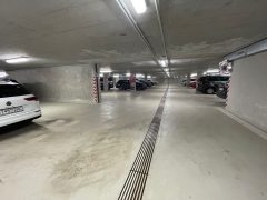 PHOTO-2026-03-10-18-04-55