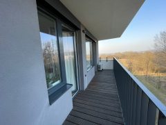 PHOTO-2026-03-11-15-45-48